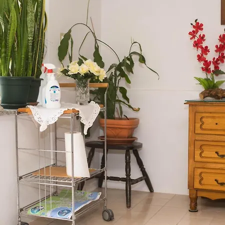 公寓 Mirjam 比比涅